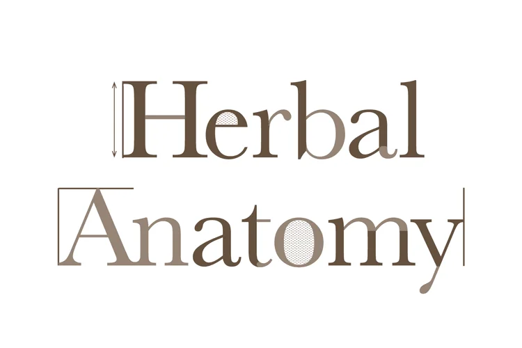 Herbal Anatomy logotype
