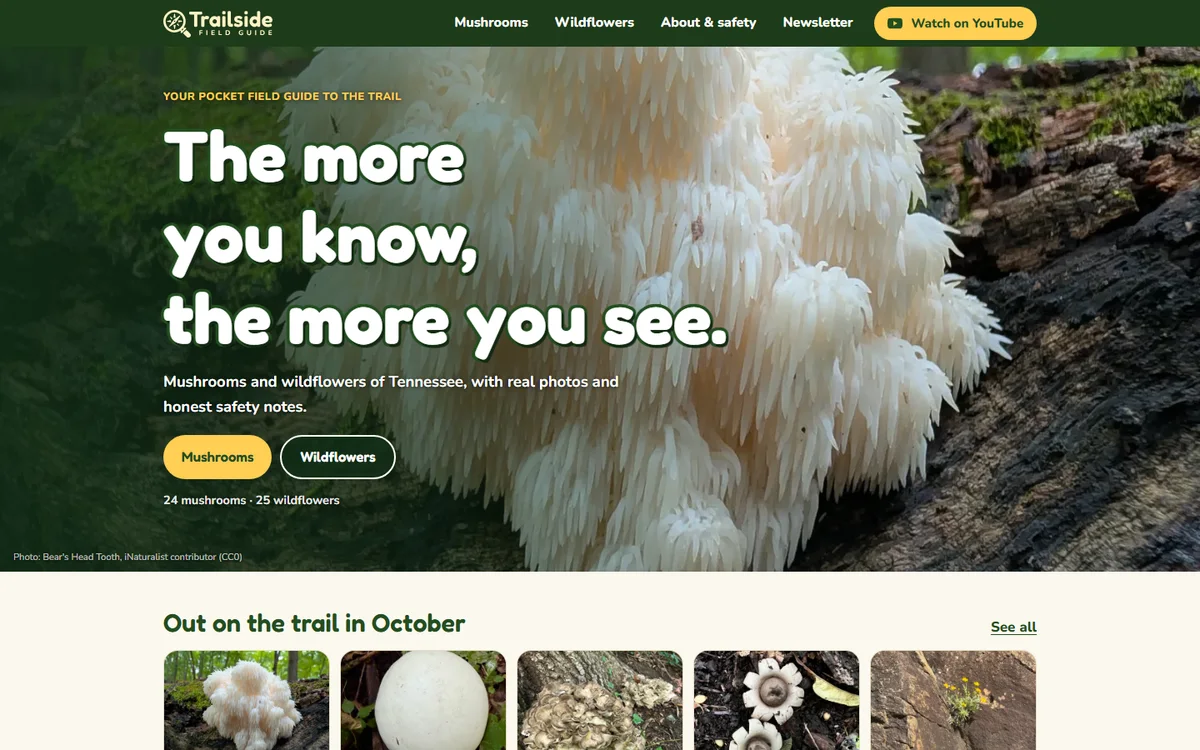 Trailside Field Guide home page with a Lion's Mane mushroom hero photo
