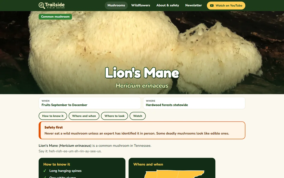 Lion's Mane mushroom page on Trailside Field Guide with the safety note and identification details